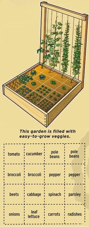 kleine-gemusegarten-layout-ideen-12_11 Small vegetable garden layout ideas