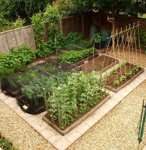 kleine-gemusegarten-layout-ideen-12_16 Small vegetable garden layout ideas
