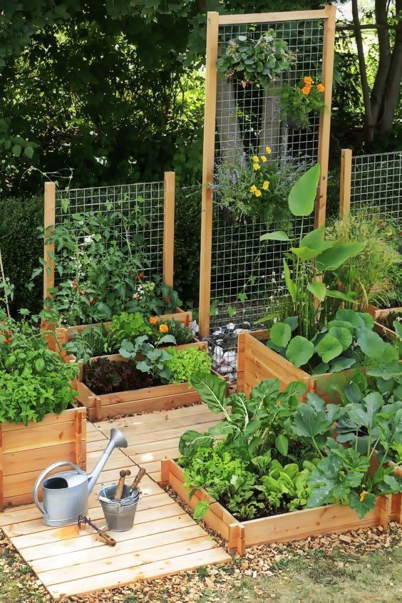 kleine-gemusegarten-layout-ideen-12_17 Small vegetable garden layout ideas