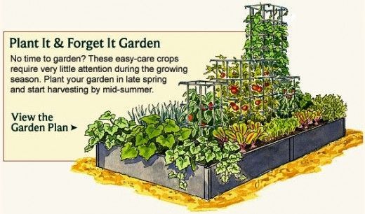 kleine-gemusegarten-layout-ideen-12_18 Small vegetable garden layout ideas
