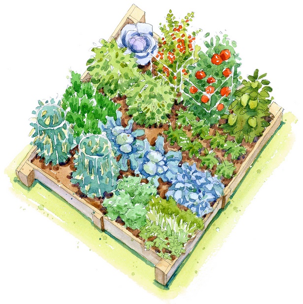 kleine-gemusegarten-layout-ideen-12_3 Small vegetable garden layout ideas