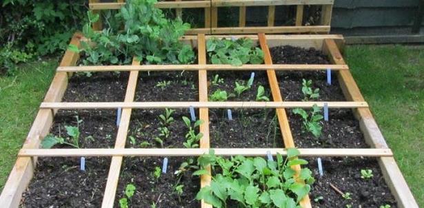 kleine-gemusegarten-layout-ideen-12_9 Small vegetable garden layout ideas