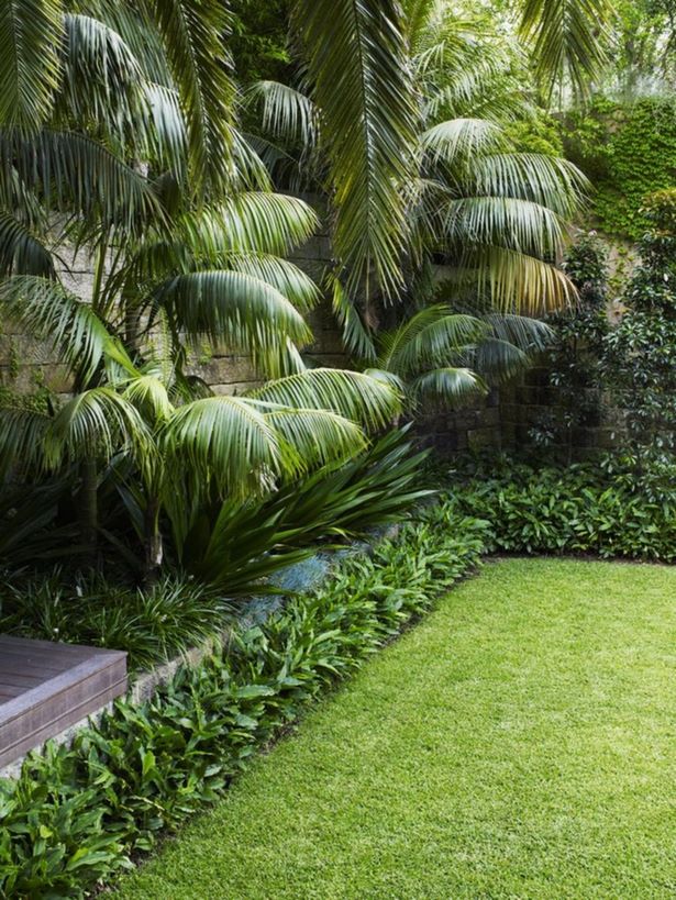 kleine-hinterhof-tropische-landschaftsgestaltung-ideen-67_11 Small backyard tropical landscaping ideas