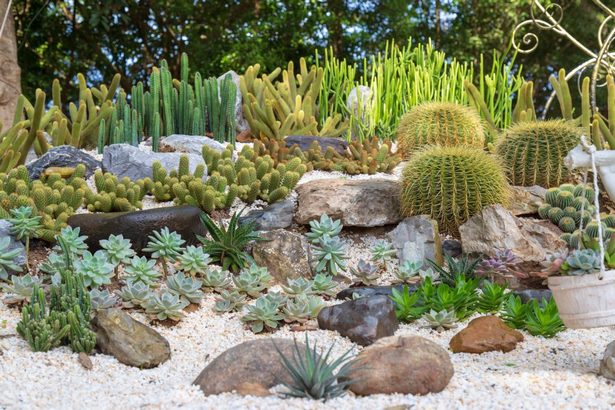 kleine-steingarten-design-ideen-49 Small rock garden design ideas