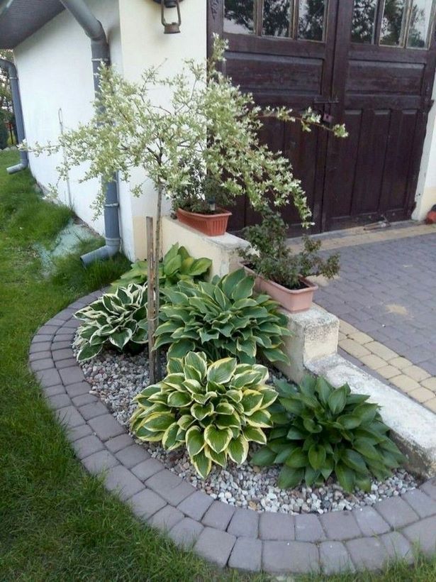 kleine-vorgarten-ideen-pflanzen-05_16 Small front garden ideas plants