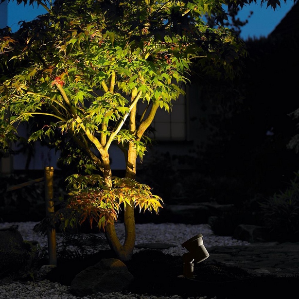 landschaft-baum-beleuchtung-ideen-47_11 Landscape tree lighting ideas