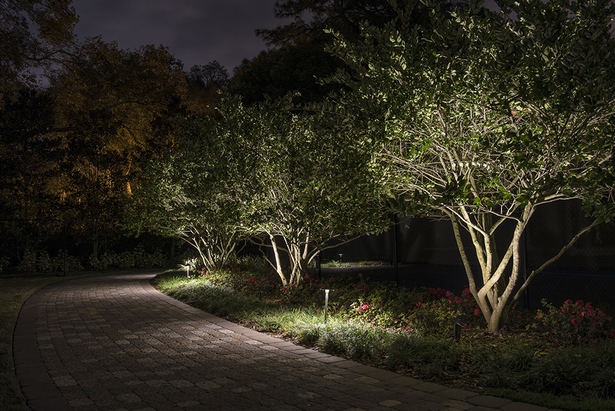 landschaft-baum-beleuchtung-ideen-47_15 Landscape tree lighting ideas