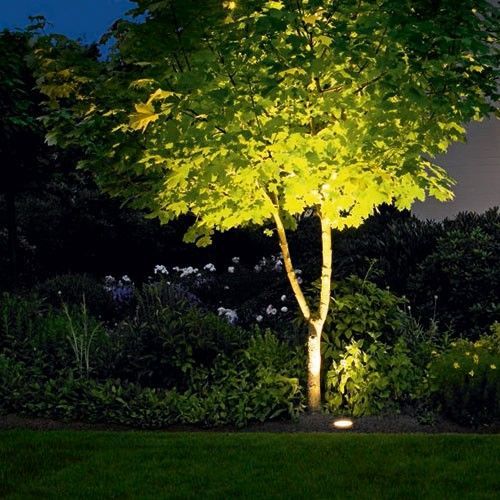 landschaft-baum-beleuchtung-ideen-47_5 Landscape tree lighting ideas
