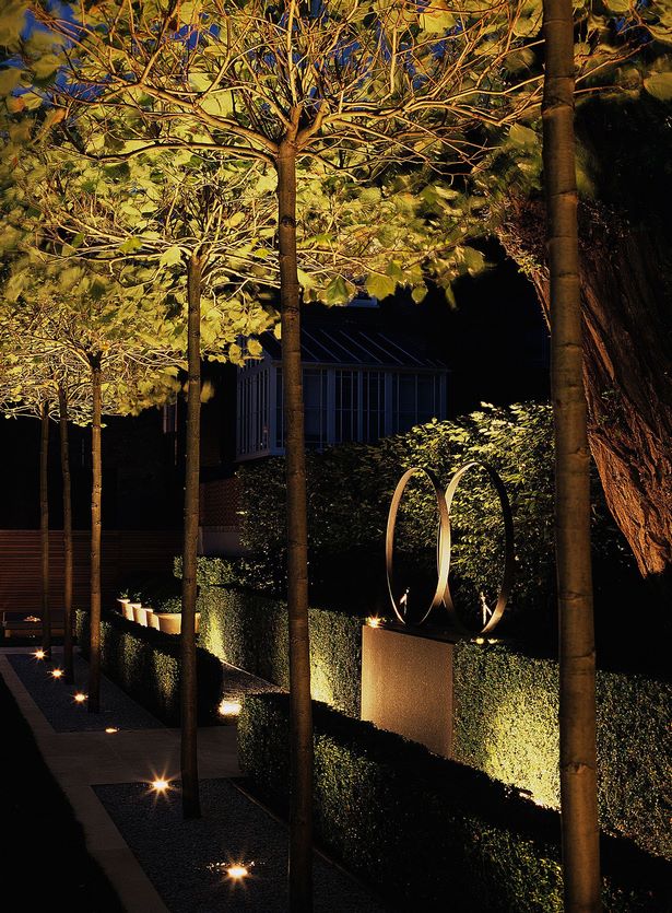 landschaft-baum-beleuchtung-ideen-47_6 Landscape tree lighting ideas