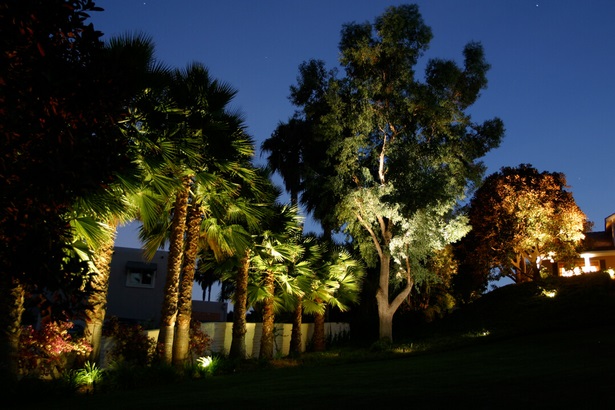 landschaft-baum-beleuchtung-ideen-47_8 Landscape tree lighting ideas