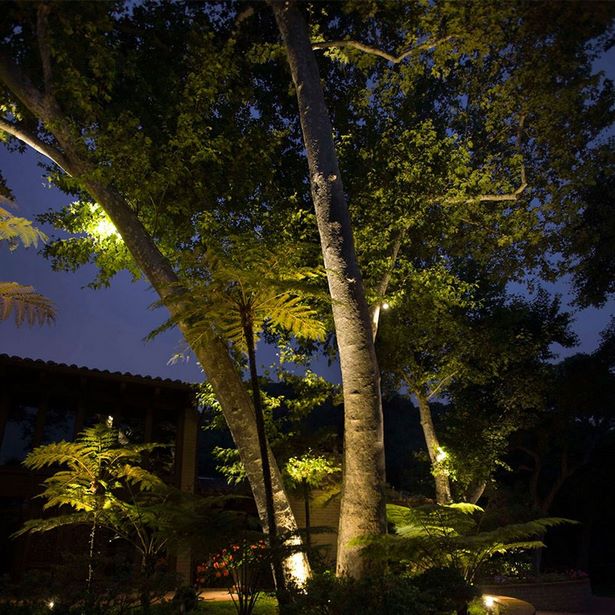 landschaft-beleuchtung-ideen-baume-46_5 Landscape lighting ideas trees