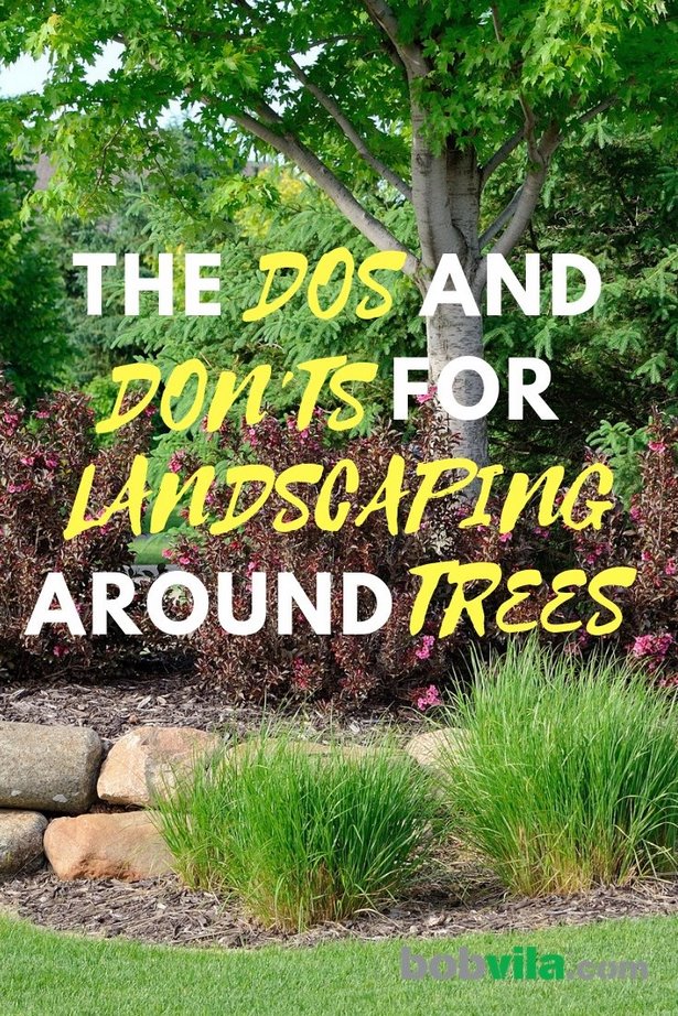 landschaftsbau-ideen-baume-79_4 Landscaping ideas trees