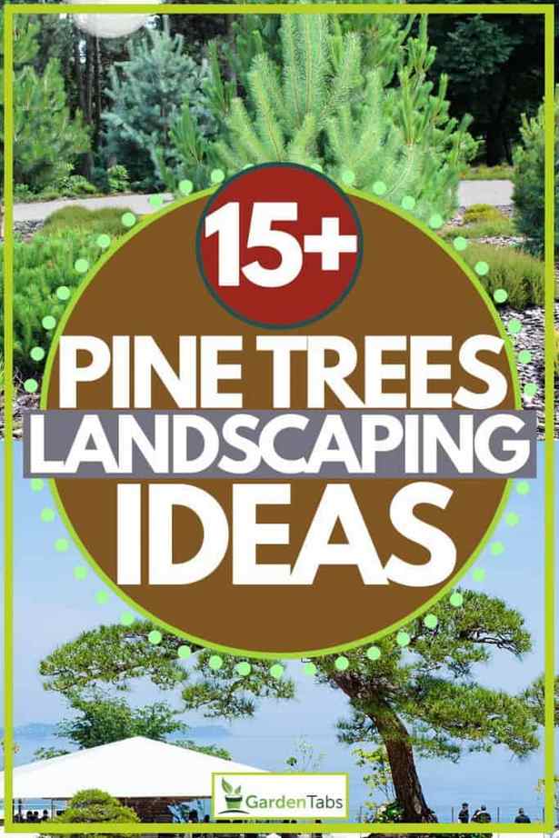 landschaftsbau-ideen-baume-79_5 Landscaping ideas trees