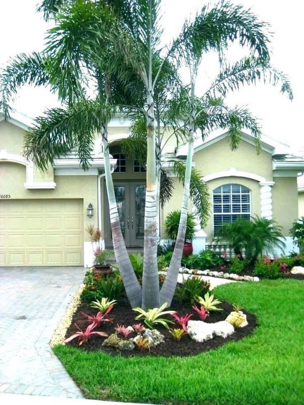 landschaftsbau-ideen-mit-palmen-27_8 Landscaping ideas with palm trees