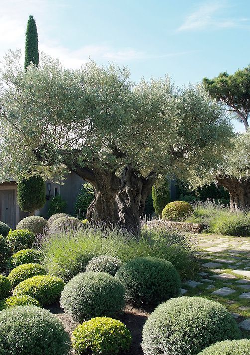 mediterrane-garten-design-ideen-79 Mediterranean garden design ideas