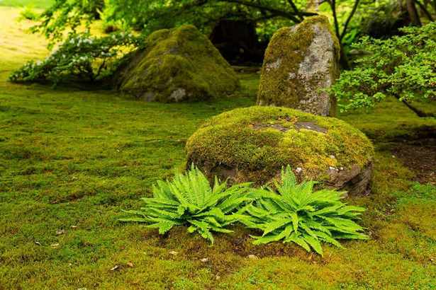 moss-rock-landschaftsbau-ideen-91_13 Moss rock landscaping ideas