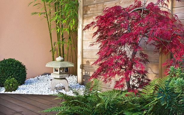 orientalische-gartenideen-in-grossbritannien-47_19 Oriental garden ideas in uk