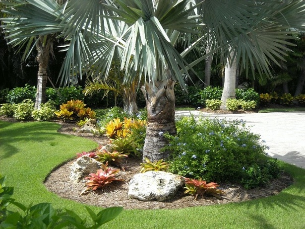 palme-landschaft-design-ideen-65_15 Palm tree landscape design ideas