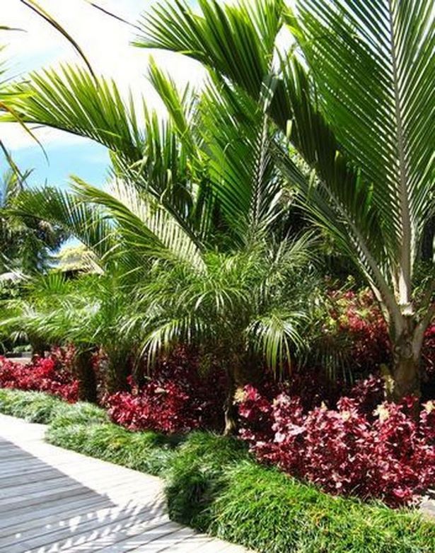 palme-landschaft-design-ideen-65_6 Palm tree landscape design ideas