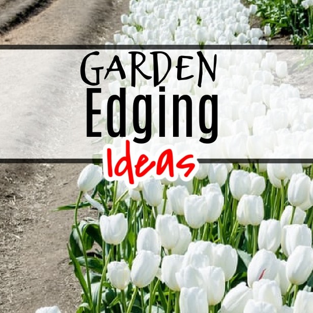 pflanze-kanten-ideen-95 Plant edging ideas