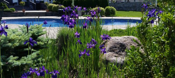 pool-garten-landschaftsbau-ideen-66_12 Pool garden landscaping ideas