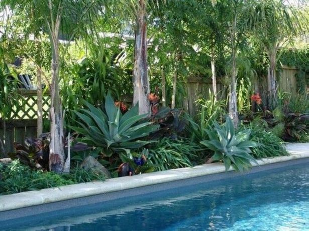 pool-tropische-landschaftsgestaltung-ideen-85_17 Pool tropical landscaping ideas