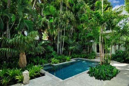 pool-tropische-landschaftsgestaltung-ideen-85_6 Pool tropical landscaping ideas