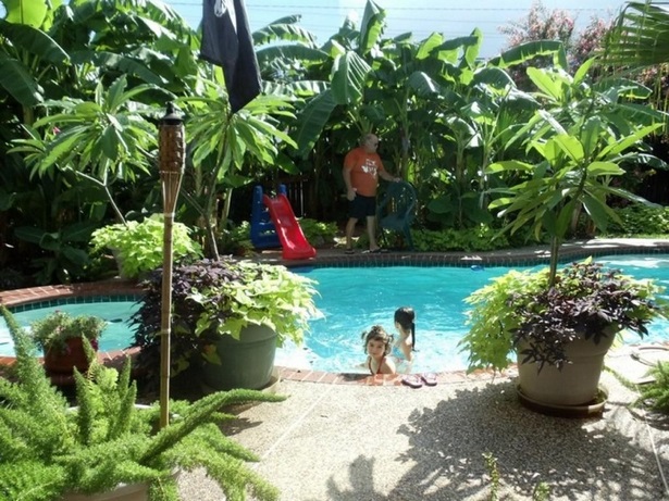 pool-tropische-landschaftsgestaltung-ideen-85_7 Pool tropical landscaping ideas