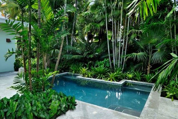 pool-tropische-landschaftsgestaltung-ideen-85_8 Pool tropical landscaping ideas