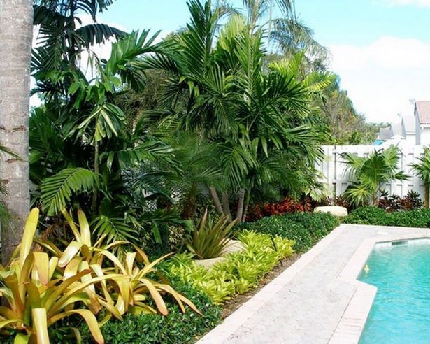 pool-tropische-landschaftsgestaltung-ideen-85_9 Pool tropical landscaping ideas