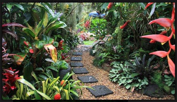 regenwald-garten-ideen-02_10 Rainforest garden ideas