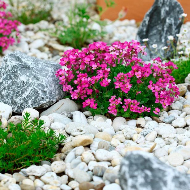 rock-blumengarten-ideen-68_8 Rock flower garden ideas