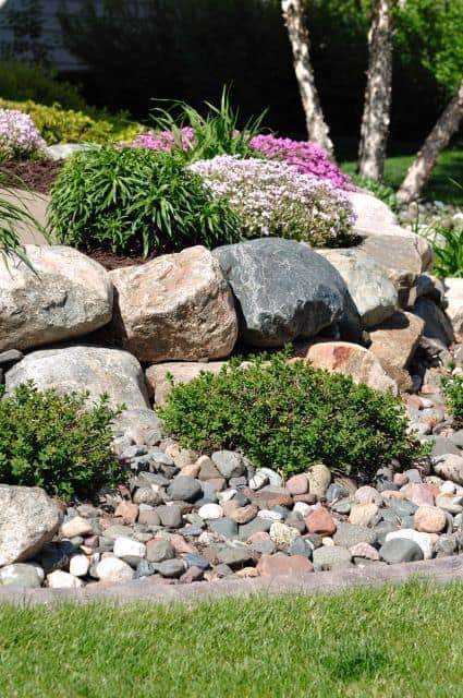 rock-wall-pflanzung-ideen-48_14 Rock wall planting ideas