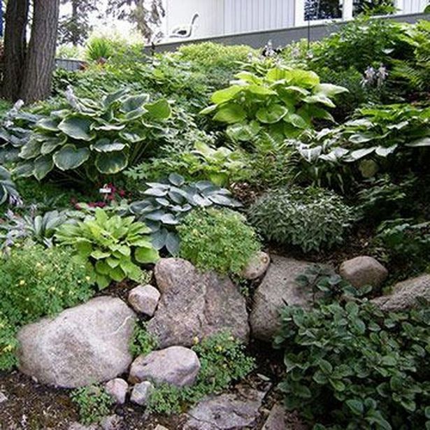 schattige-steingarten-ideen-10_15 Shaded rock garden ideas