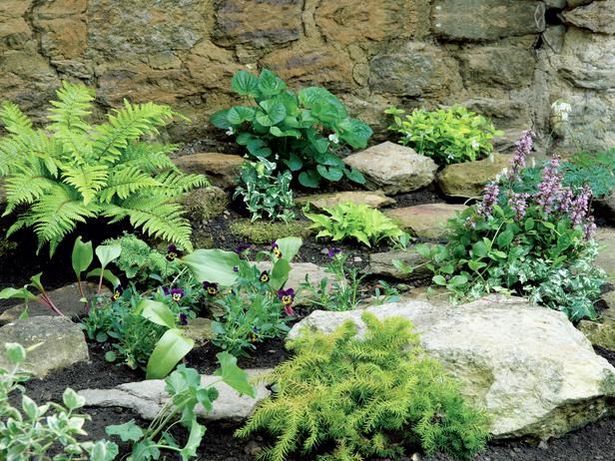 schattige-steingarten-ideen-10_17 Shaded rock garden ideas