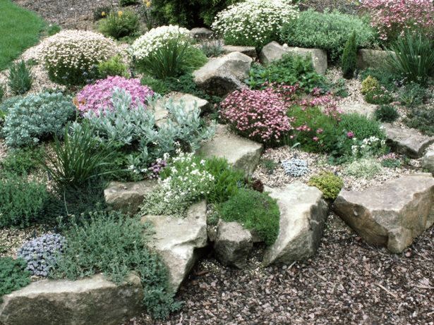 steingarten-ideen-pflanzen-48 Rock garden ideas plants