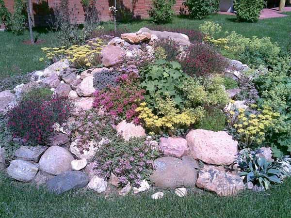 steingarten-ideen-pflanzen-48_2 Rock garden ideas plants