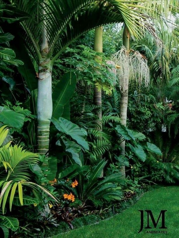 subtropische-garten-design-ideen-42_9 Subtropical garden design ideas