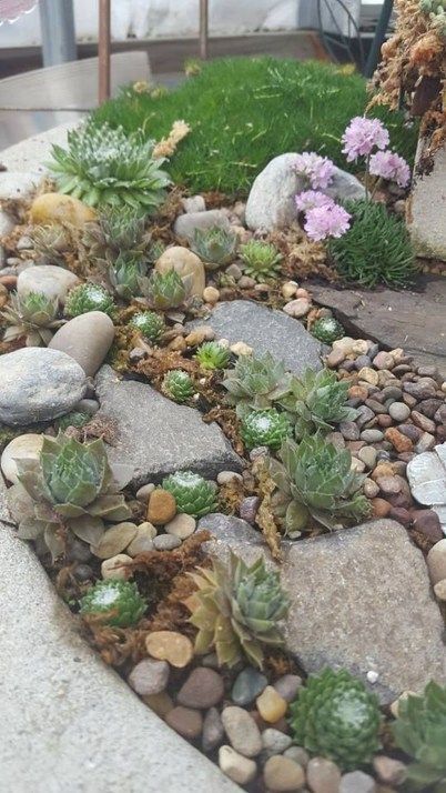 sukkulente-steingarten-ideen-48 Succulent rock garden ideas