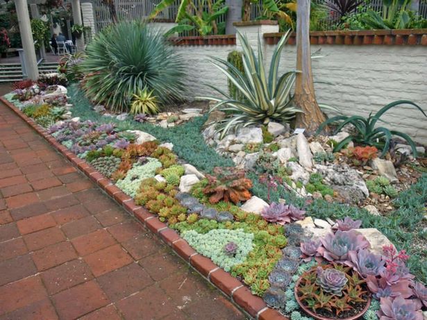 sukkulente-steingarten-ideen-48_10 Succulent rock garden ideas