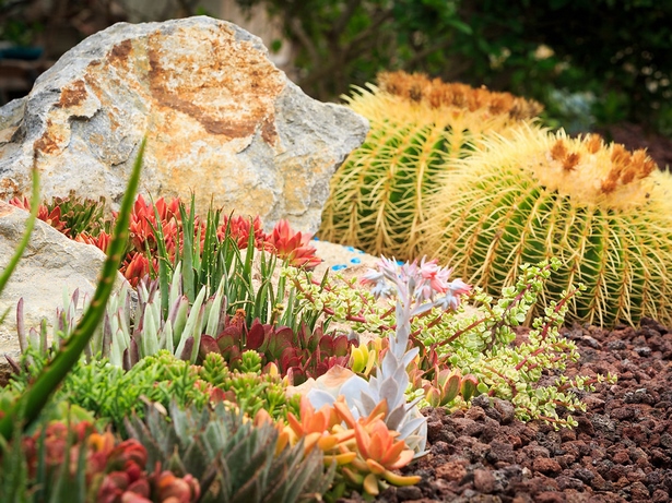 sukkulente-steingarten-ideen-48_2 Succulent rock garden ideas