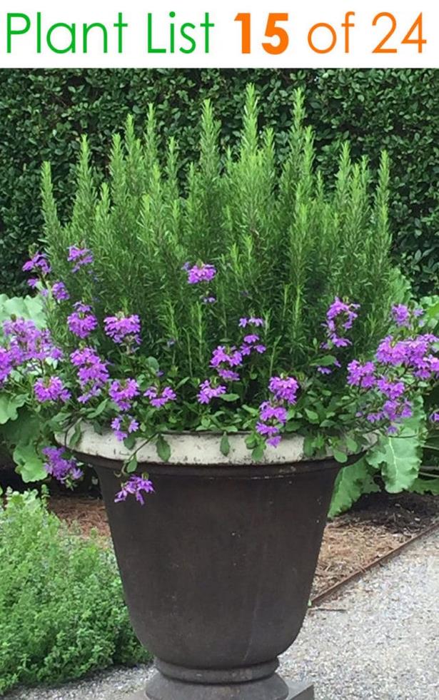 terrasse-pflanzer-ideen-27_13 Outdoor patio planter ideas