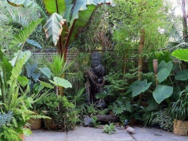 tropische-garten-ideen-51_18 Tropical gardening ideas