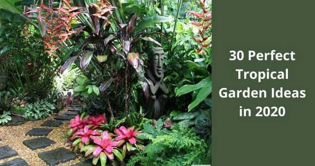 tropische-gartengestaltung-ideen-25_14 Tropical garden landscaping ideas