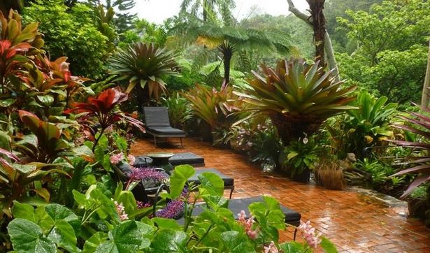 tropische-hausgarten-ideen-24_3 Tropical home garden ideas