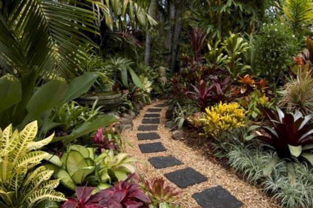 tropische-landschaft-ideen-kleine-hofe-41_7 Tropical landscape ideas small yards