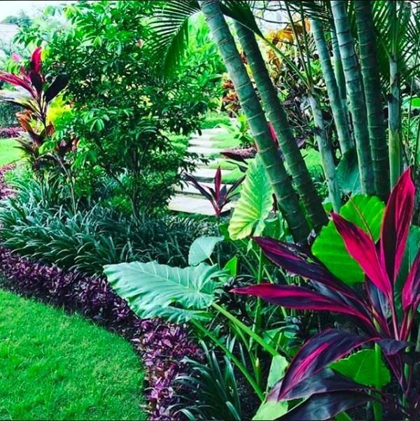 tropische-landschaftsgestaltung-ideen-fur-hinterhof-18_3 Tropical landscaping ideas for backyard