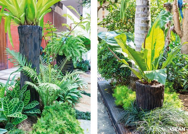 tropische-pflanzen-landschaftsbau-ideen-79 Tropical plants landscaping ideas