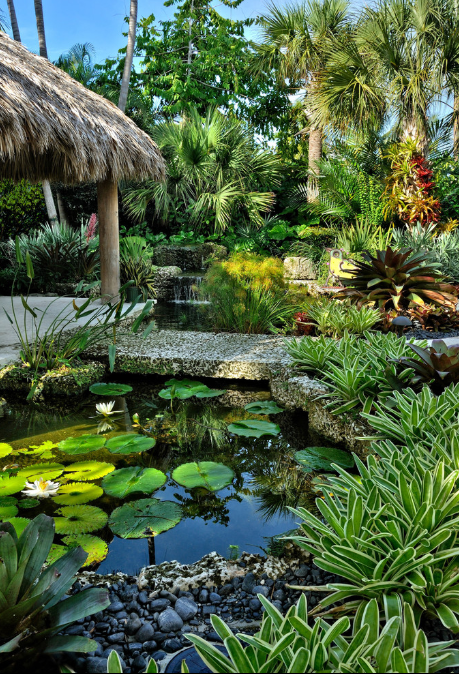 tropische-pflanzen-landschaftsbau-ideen-79 Tropical plants landscaping ideas