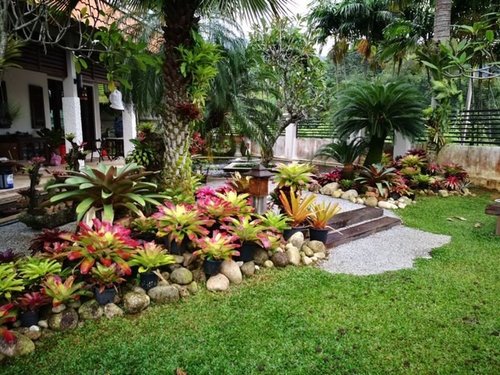 tropische-pflanzen-landschaftsbau-ideen-79_10 Tropical plants landscaping ideas